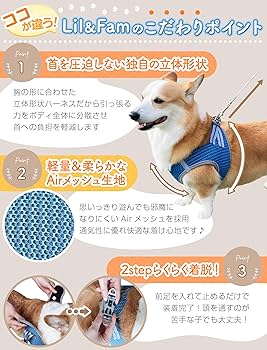 Amazon | Lil&Fam 犬 ハーネス 胴輪 リードセット 身体に優しい 反射材