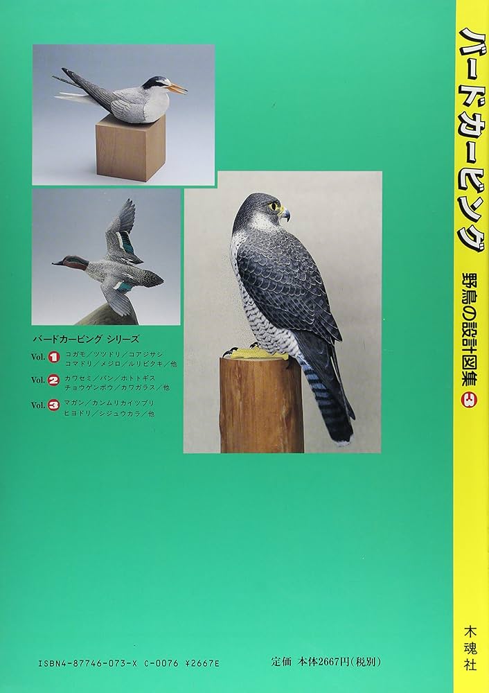 Amazon.co.jp: バードカービング 3: 野鳥の設計図集 : 遠藤 勇: 本