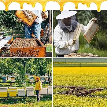 Amazon.co.jp: 巣箱 蜂ハイブ ミツバチ 巣箱 標準10枠 蜜蜂の巣箱