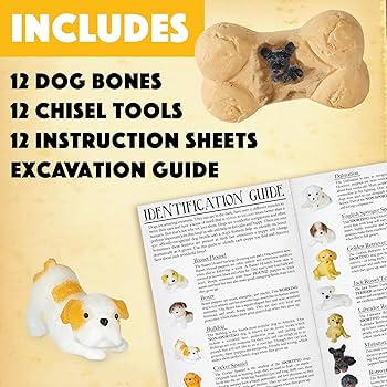 Amazon.com: MindWare Dig it Up! Puppies Excavation Kit