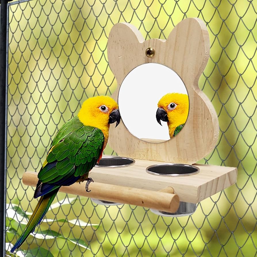 オウムスタンド&止まり木他オーダー品{コメント用}