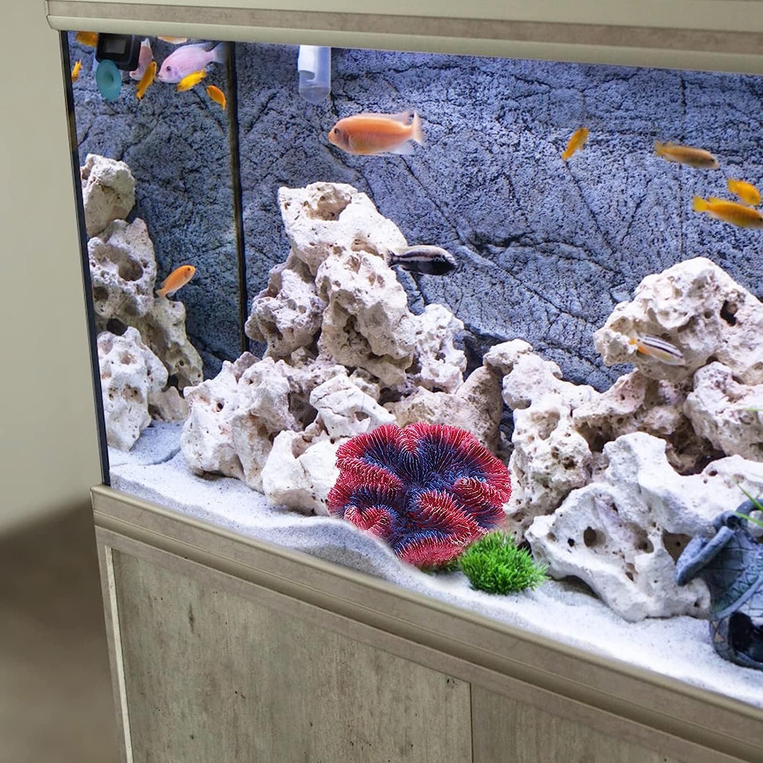 天然珊瑚置き物江ノ島