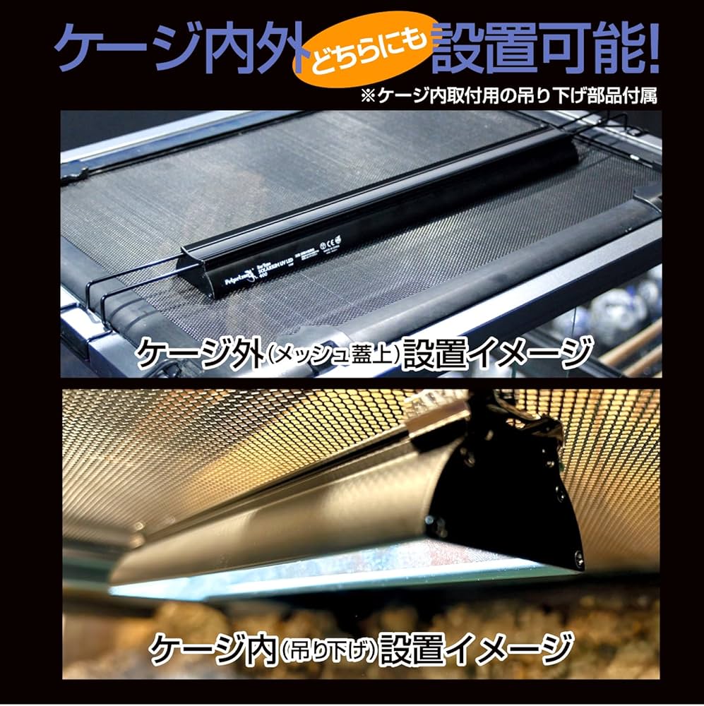 81sV0SIcHaL._AC_UF1000,