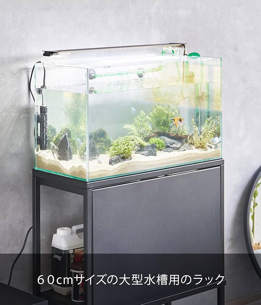 Amazon.co.jp: 山崎実業(Yamazaki) 水槽ラック ブラック W61×D34×H70cm