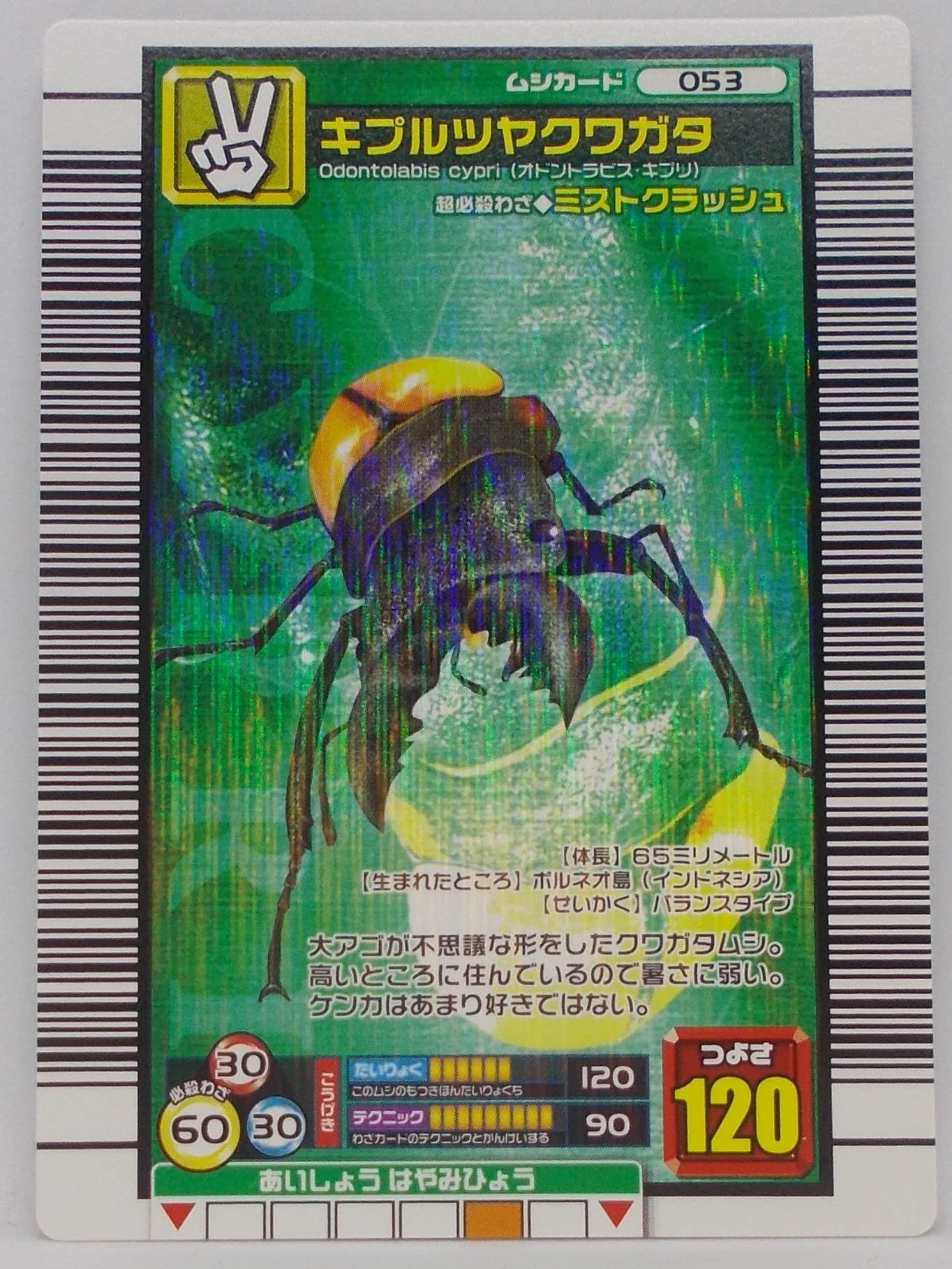 希少 ムシキング キプルツヤクワガタ アダー完結編 プロモ プロモ