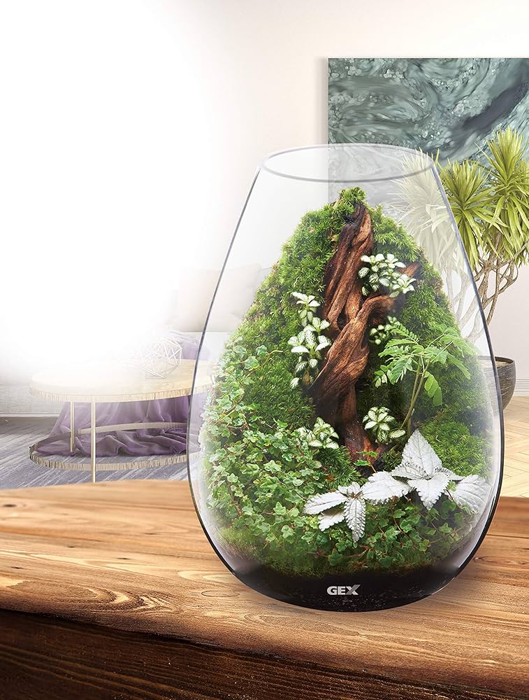 Amazon | ジェックス GEX AQUARIUM グラスアクア キャンドル 水草 多肉