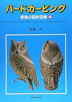 914qiMR12DL._AC_UF350,