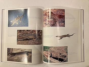 The Natural History of Monitor Lizards: De Lisle, Harold F