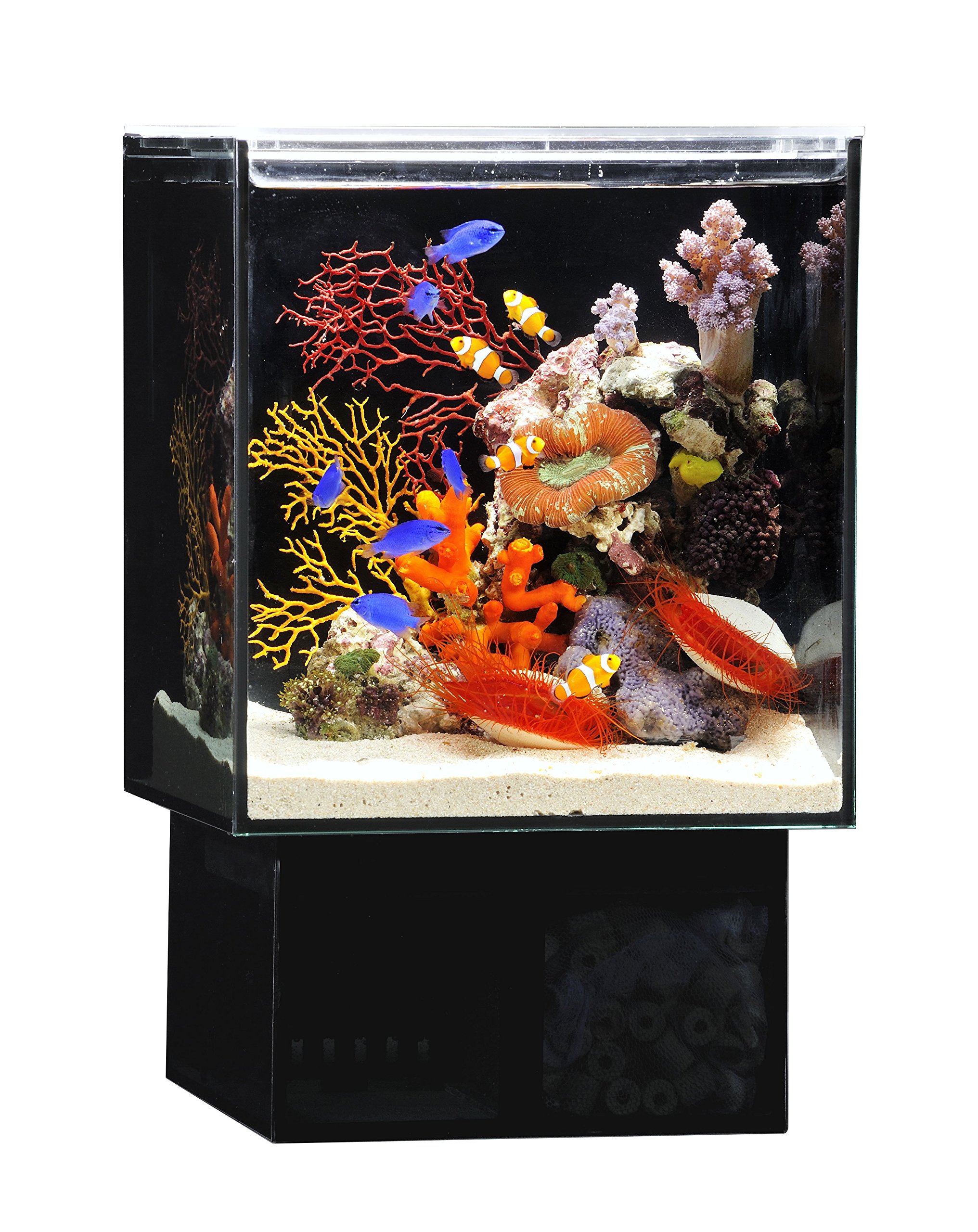 Amazon | GEX AQUARIUM グラステリアAGS アグス オーバーフロー