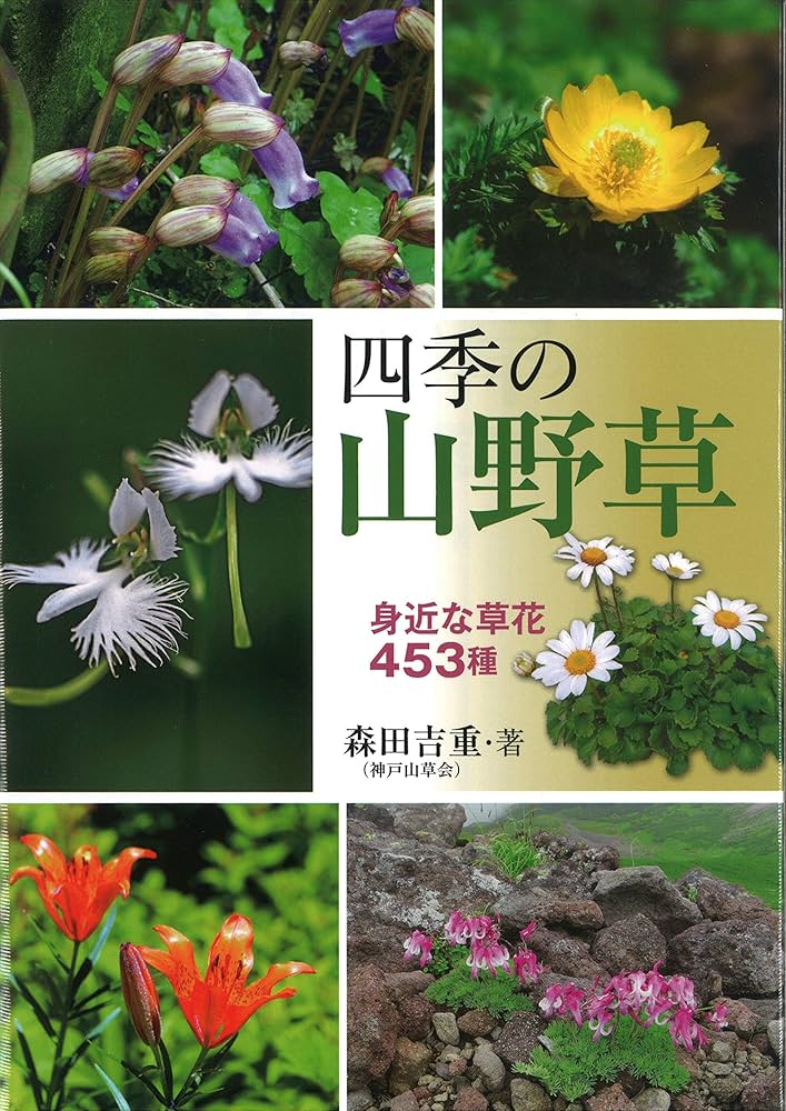 四季の山野草 身近な草花453種 | 森田吉重, 神戸山草会 |本 | 通販