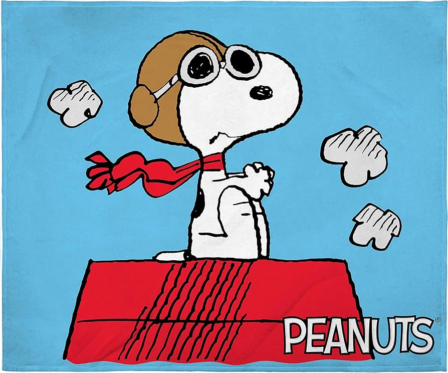 Amazon.com: INTIMO Peanuts Snoopy The Flying Ace and The Red Baron