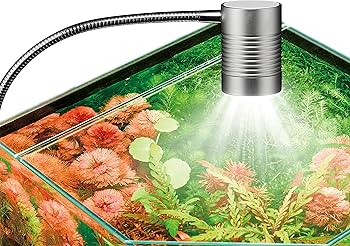 Amazon | ジェックス GEX クリアLED リーフグロー EX 3種類の色温度