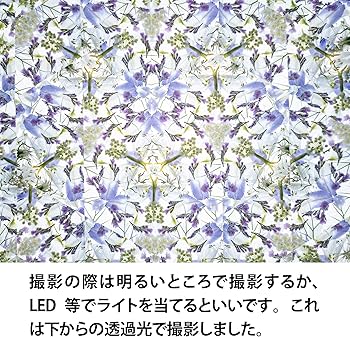 Amazon | 万華鏡写真用ミラー（ガラス製）大サイズ | 撮影用小道具 通販