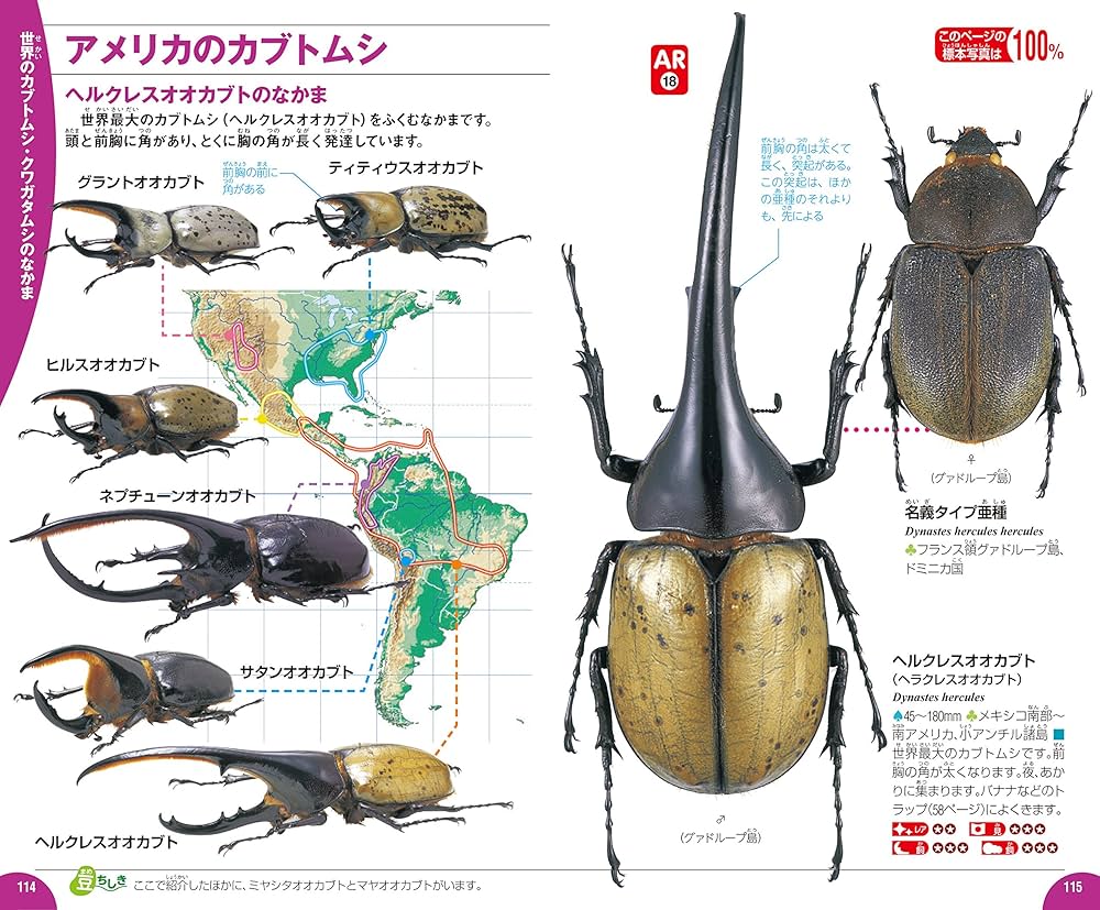 Amazon.co.jp: カブトムシ・クワガタムシ (学研の図鑑LIVE(ライブ