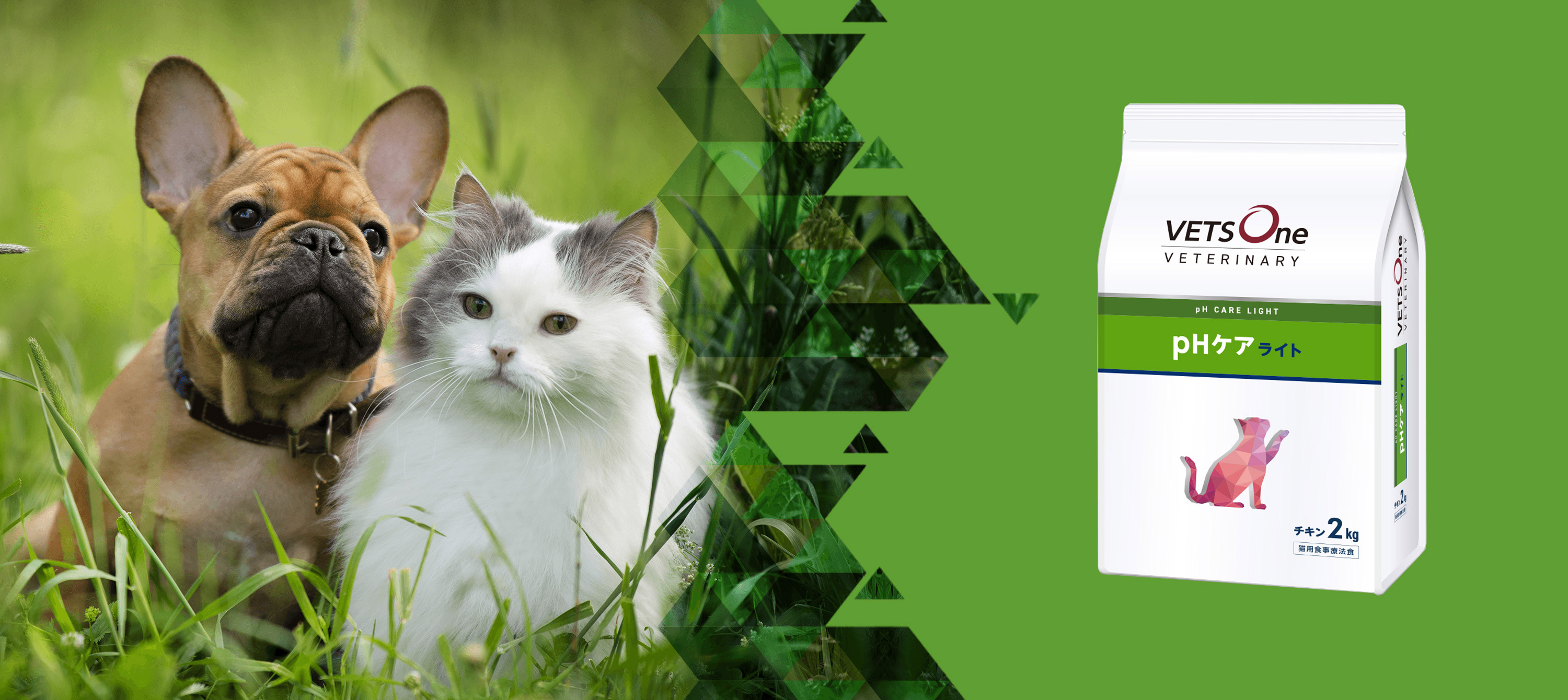 VETS One pHケア 療法食 2kg 2袋 チキン ベッツワンベテリナリー 猫用