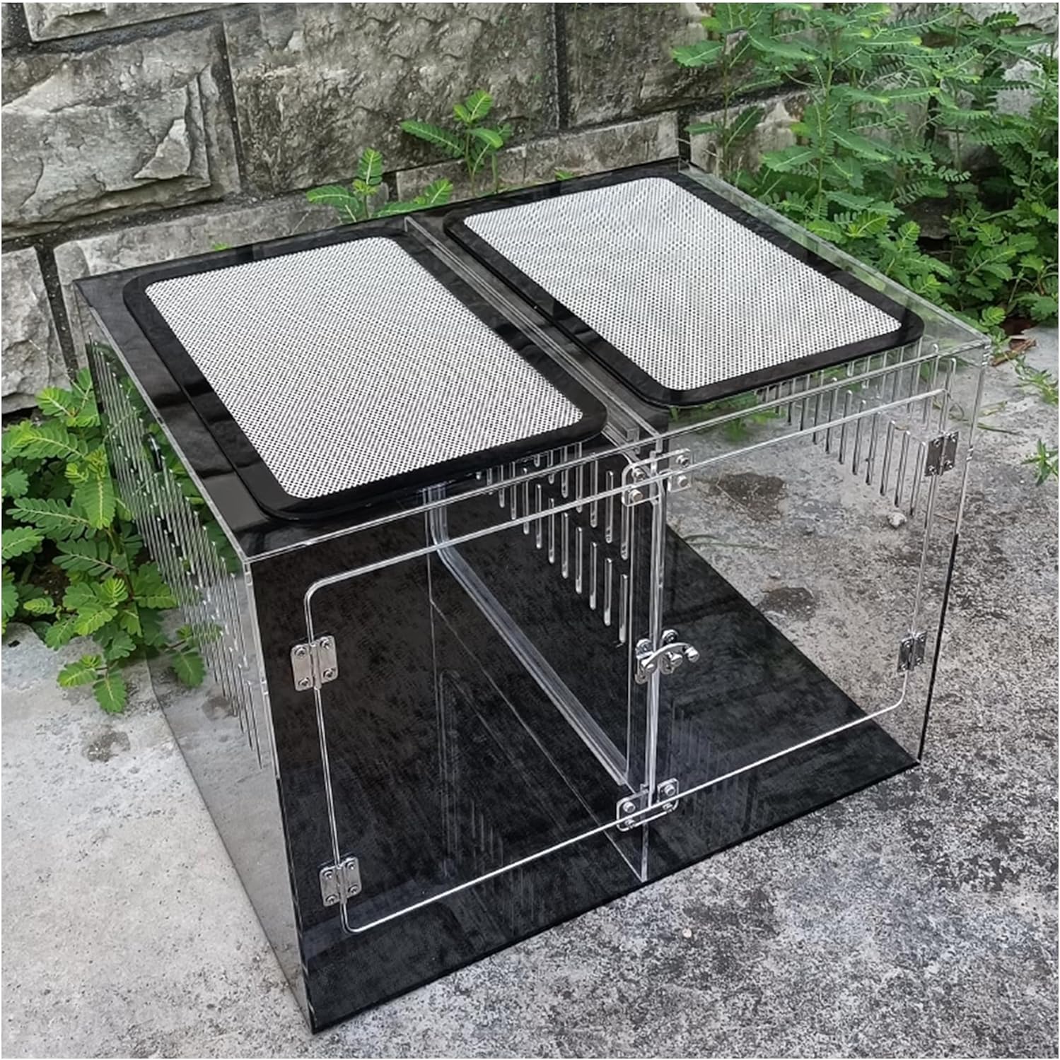 クワリウム シェルター 登り木 エサ台 クワリウム 特大サイズ