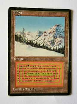 Amazon.co.jp: Magic: the Gathering - Taiga - Revised Edition