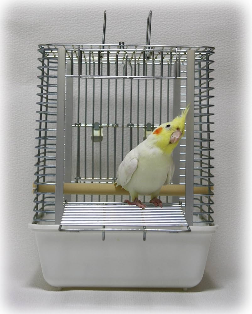 Amazon | ホーエイ ハートフルキャリー | ホーエイ | 鳥かご・ケージ 通販