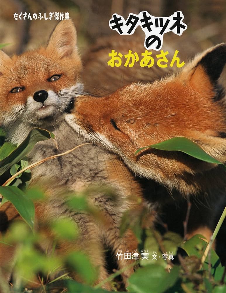 Amazon.co.jp: キタキツネのおかあさん (たくさんのふしぎ傑作集