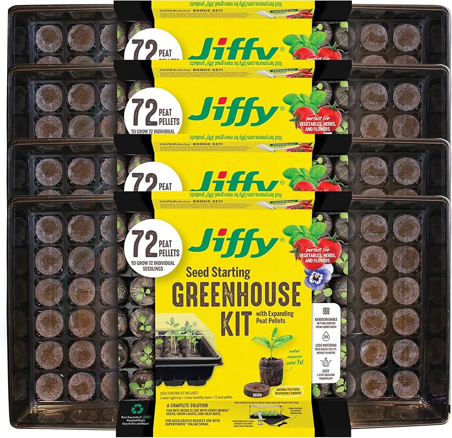 91J8aETVECL._AC_UF894,