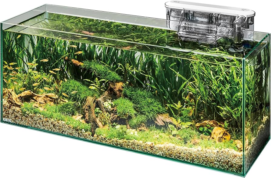 Amazon | GEX ジェックス グラステリアスリム600 6点セット DCポンプ