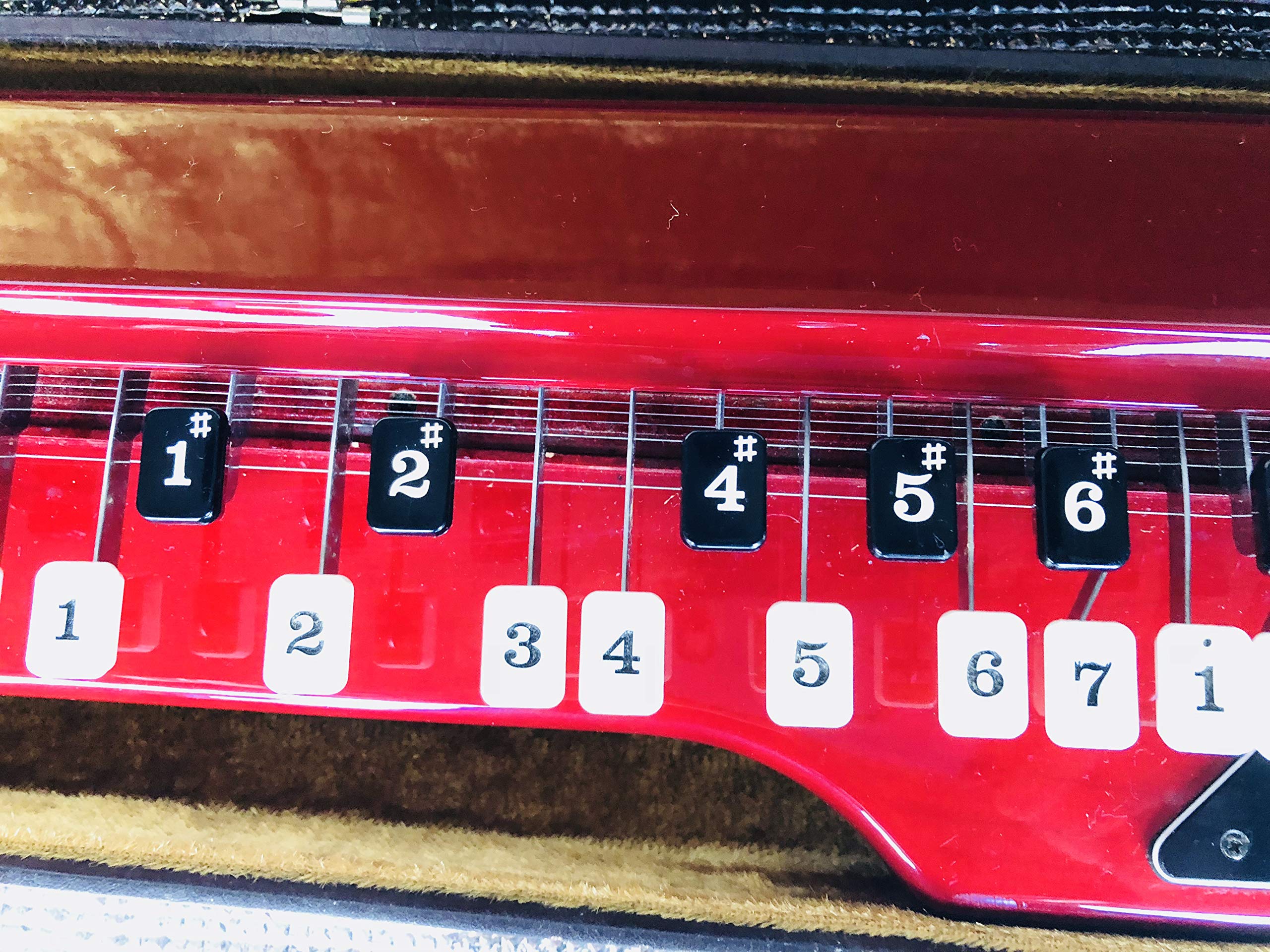 スズキ 電気大正琴 蘭 赤 ケース付き 5弦 スズキ 電気大正琴 蘭 赤