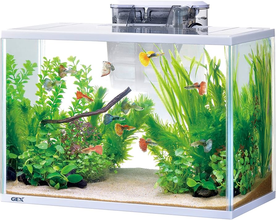 GEXジェックススリム水槽500セット 付属品 テトラ等 ジェックス GEX