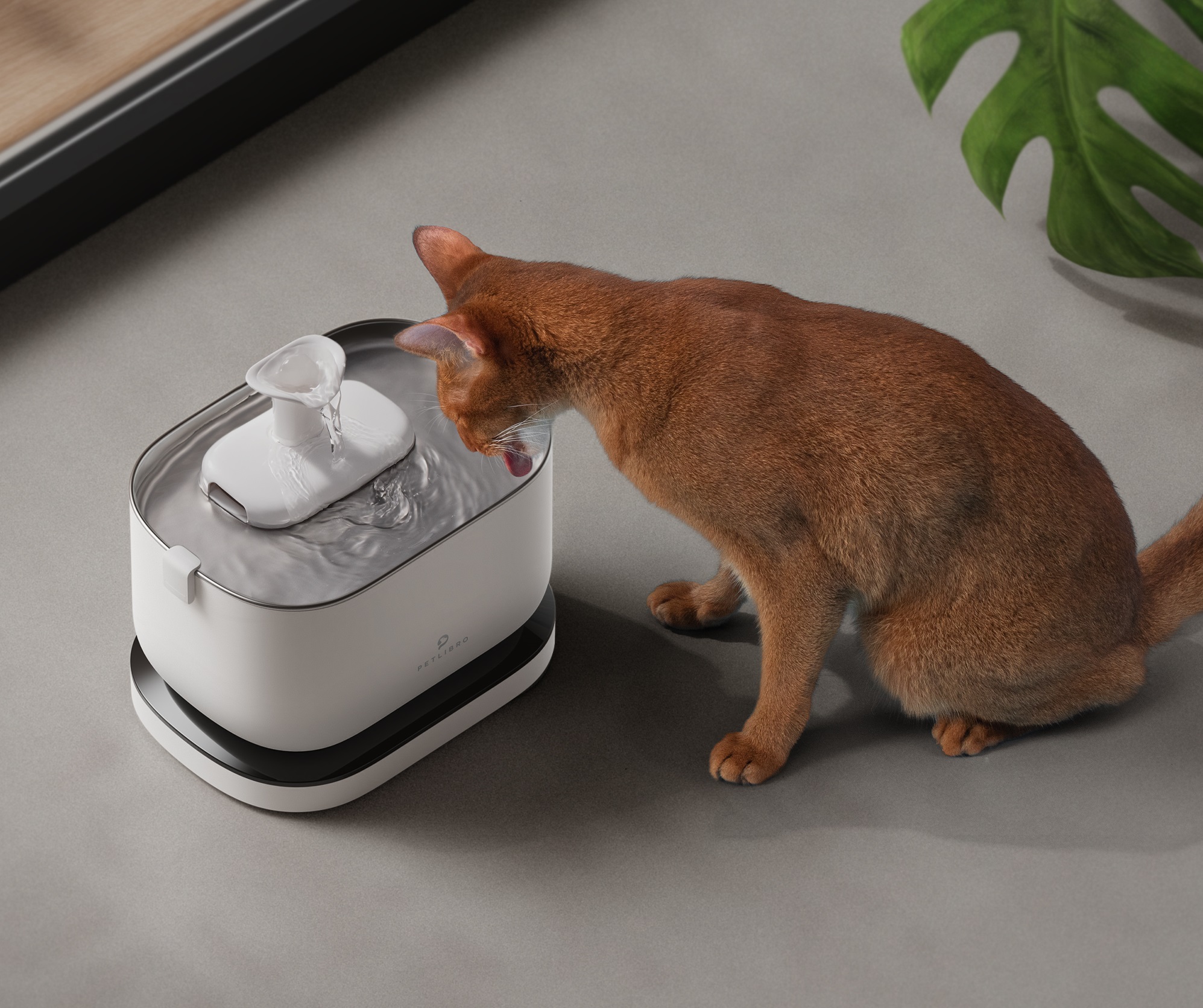 Amazon.co.jp: PETLIBRO 猫 水飲み器 自動給水器 コードレス 2WAY給電