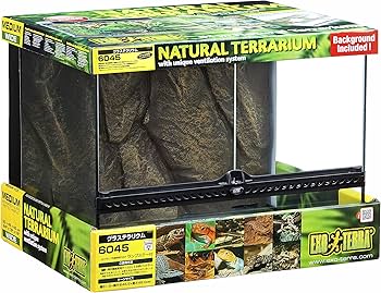 Amazon | エキゾテラ GEX EXOTERRA グラステラリウム 6045 PT2610