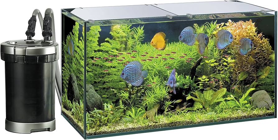 Amazon | ジェックス GEX AQUARIUM グラステリア900 6点セット