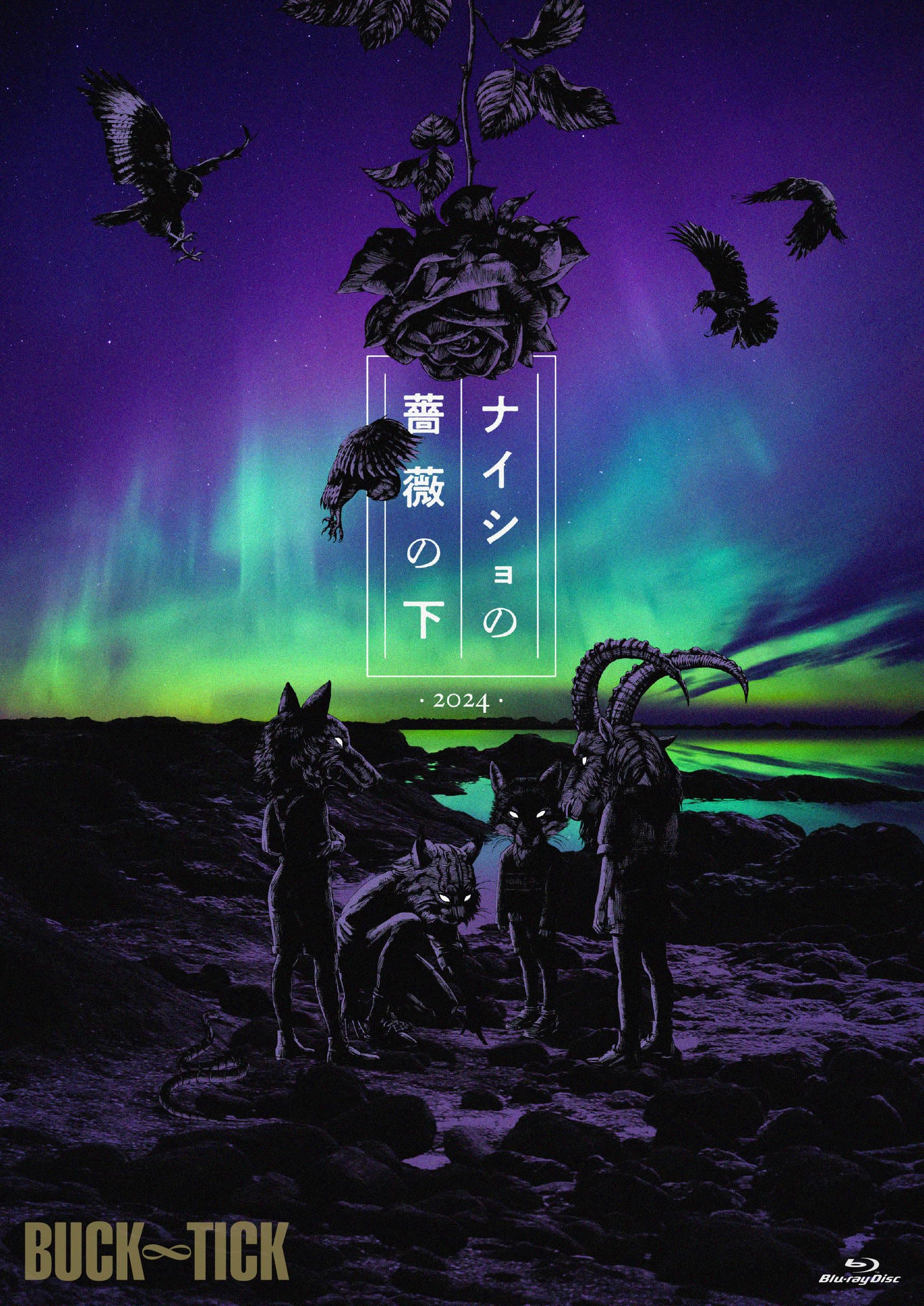 Amazon.co.jp: ナイショの薔薇の下 2024 [Blu-ray通常盤] [BD] - BUCK