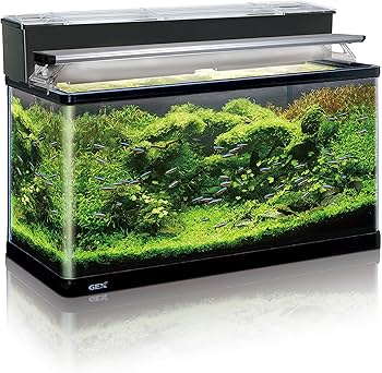 Amazon | ジェックス GEX AQUARIUM ラピレスRV90 LEDセット グランデ