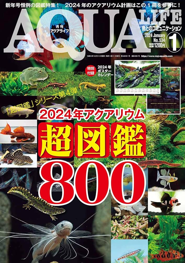 月刊アクアライフ 2024年01月号 2024年アクアリウム超図鑑800 ☆特別
