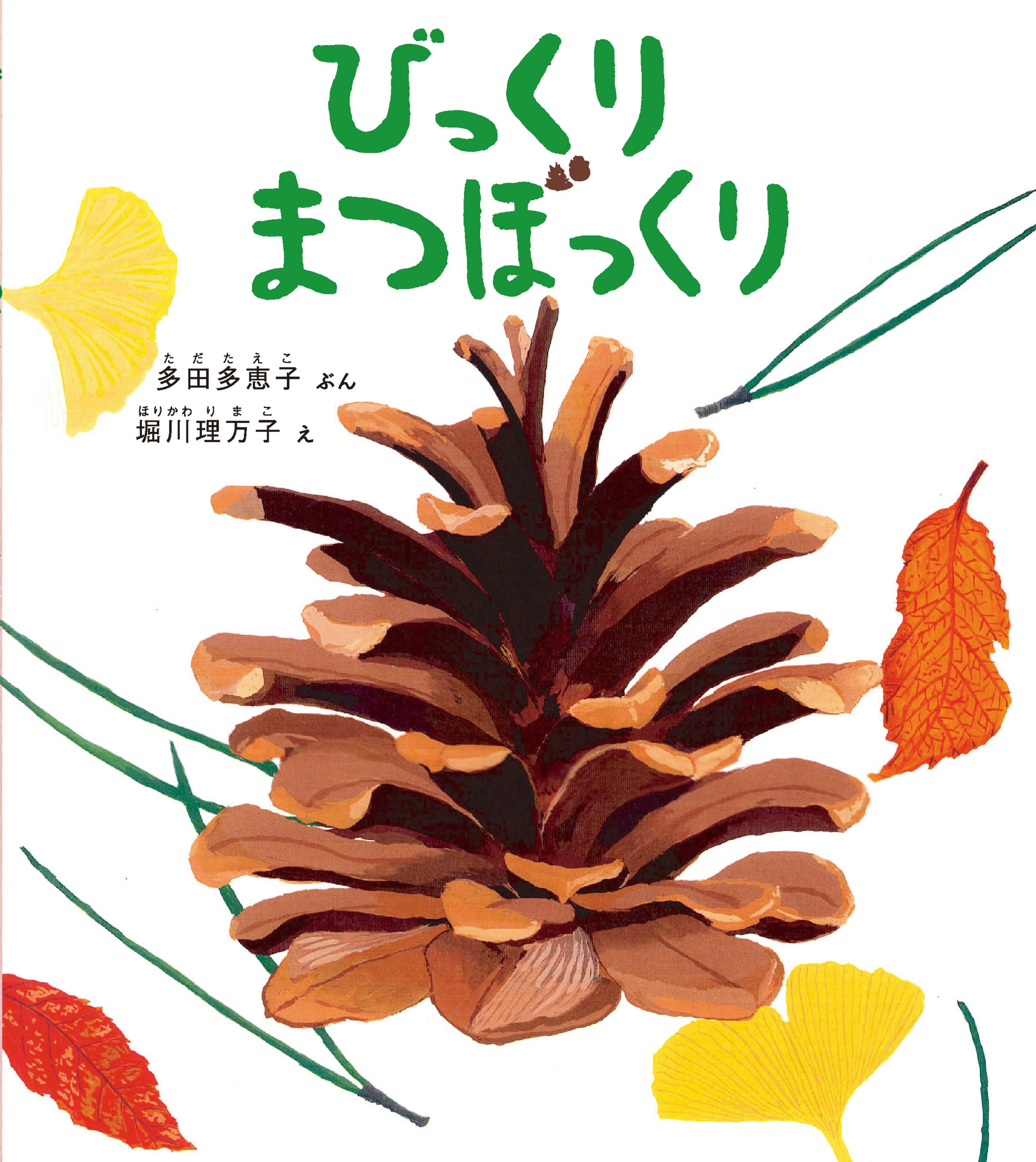 Amazon.co.jp: びっくり まつぼっくり (幼児絵本ふしぎなたねシリーズ