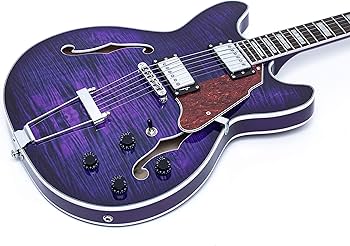 Amazon | エレキギター NEW GROTE 335 style Jazz Electric Guitar