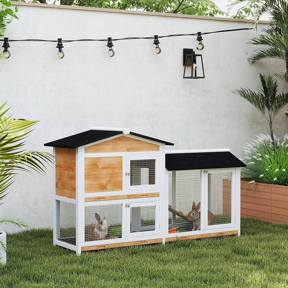 ラビットホワイトルーム62 ラビットホワイトルーム62