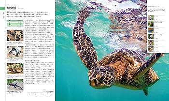 Amazon.co.jp: 地球博物学大図鑑 新訂版 : スミソニアン協会