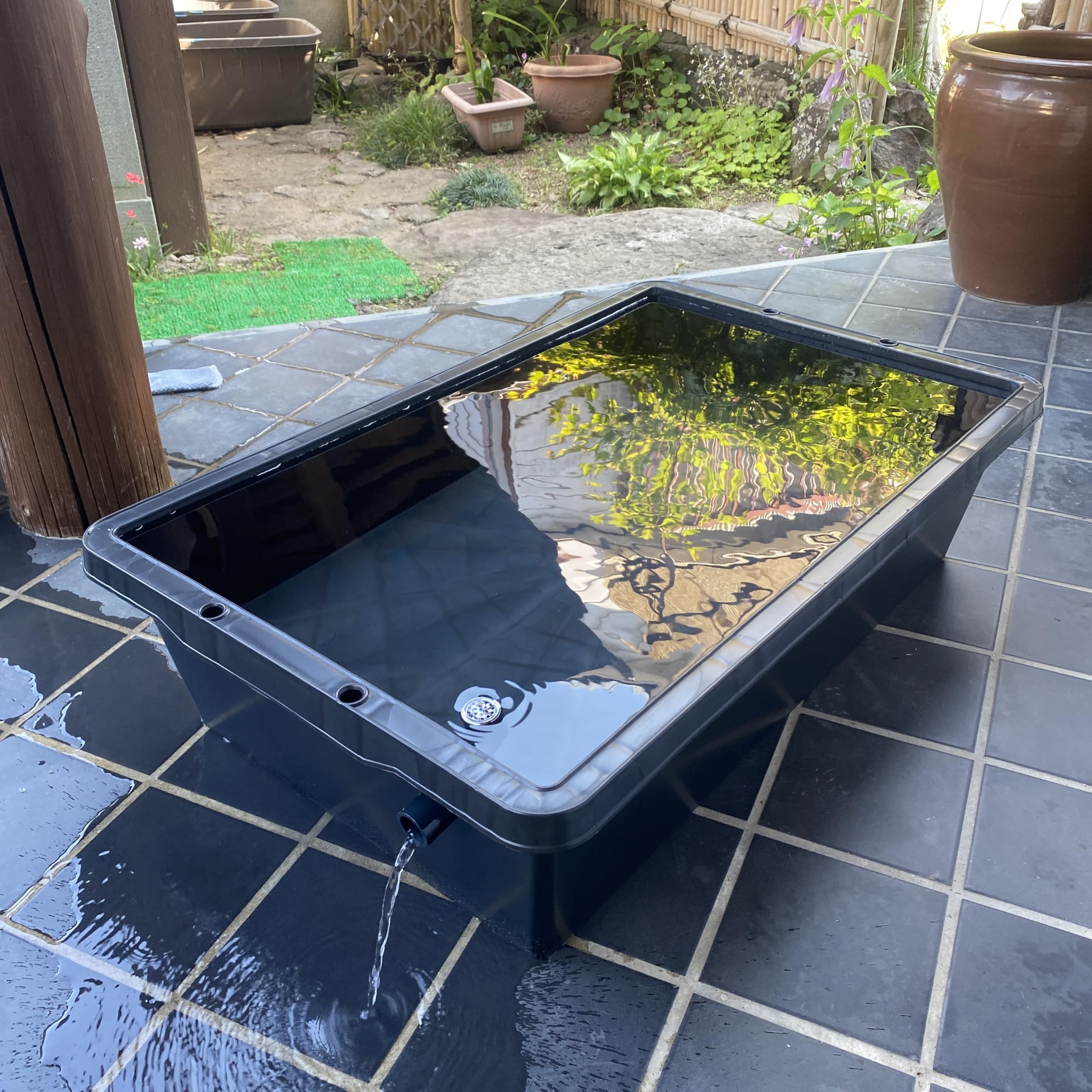 Amazon | 五色アクア メダカ飼育ケース 60リットル 黒 オーバーフロー