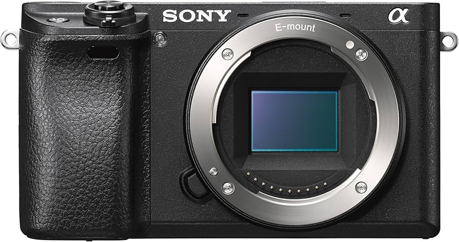 Amazon.co.jp: SONY(ソニー) ミラーレス一眼 α6300 ボディ ブラック