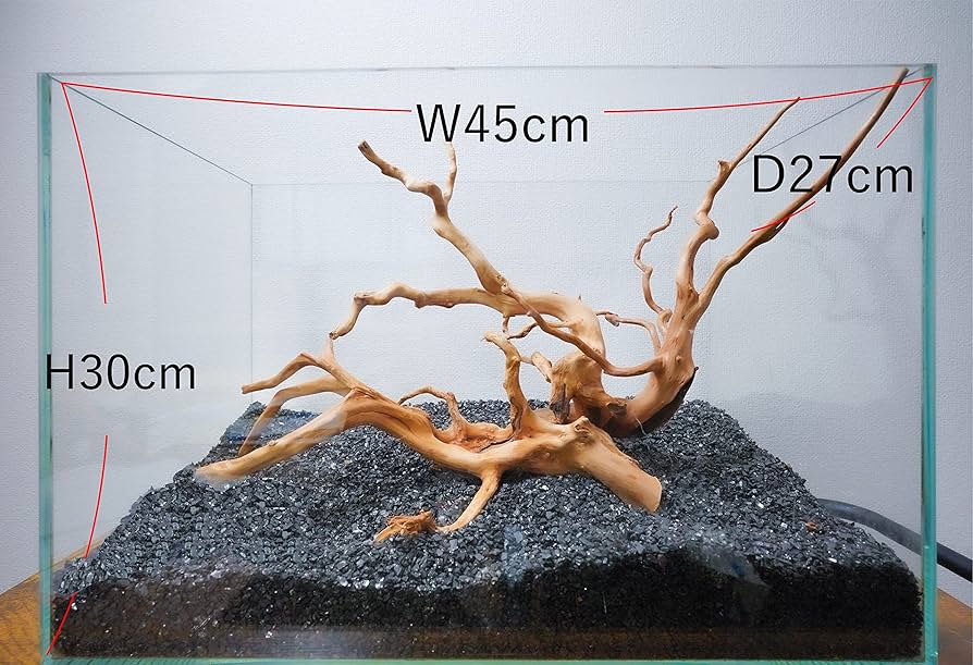 Amazon | 45cm水槽用 流木3本セット（ナチュラル色）【AQUASHOP