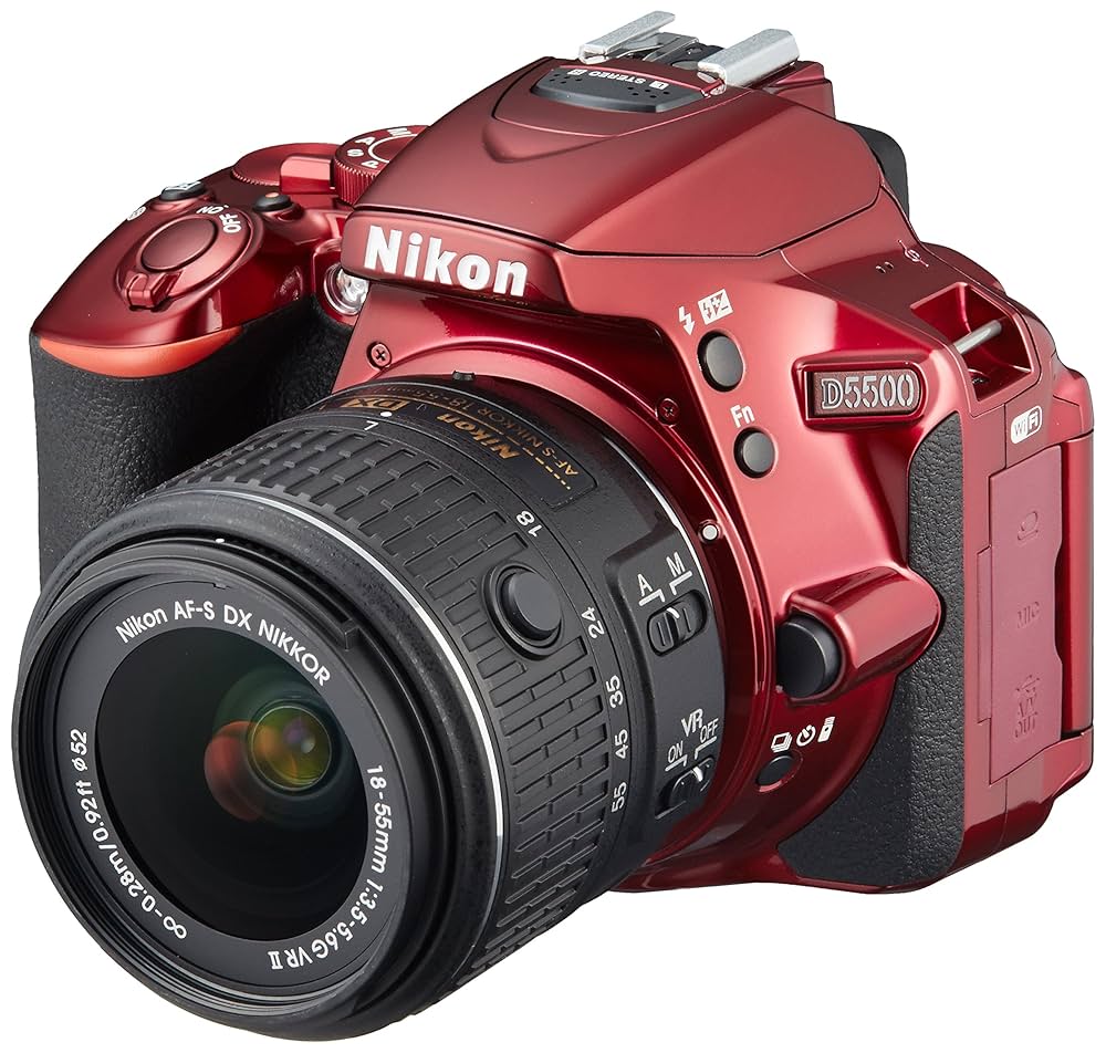 ニコン Nikon D5500☆スマホ転送機能付☆超高画質2416万画素 Nikon