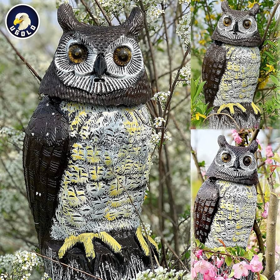 lumi ルミ バード owl フクロウ LumiPets® Opal the Owl- Children's