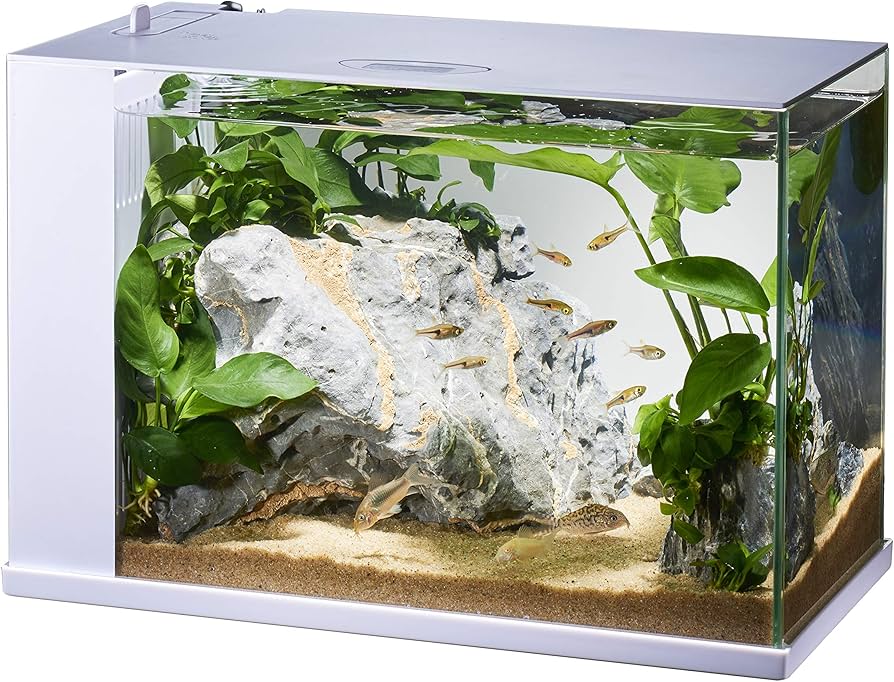 Amazon | GEX AQUARIUM ラクテリア 水換え簡単水槽 フィルター・LED