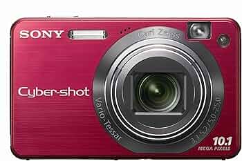 Amazon.com : Sony Cybershot DSCW170/R 10.1MP Digital Camera with