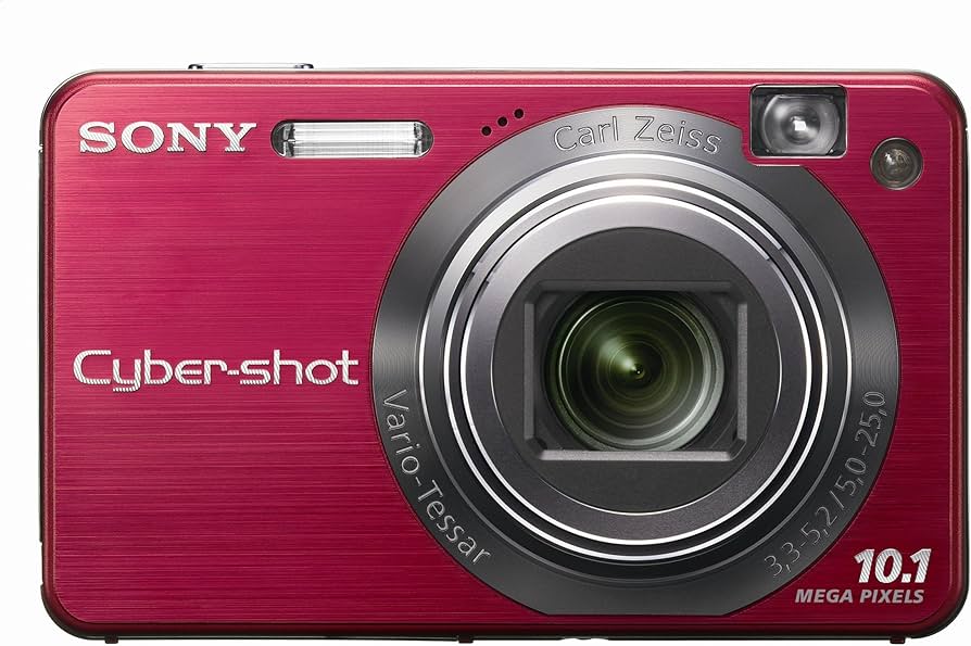 Amazon.com : Sony Cybershot DSCW170/R 10.1MP Digital Camera with
