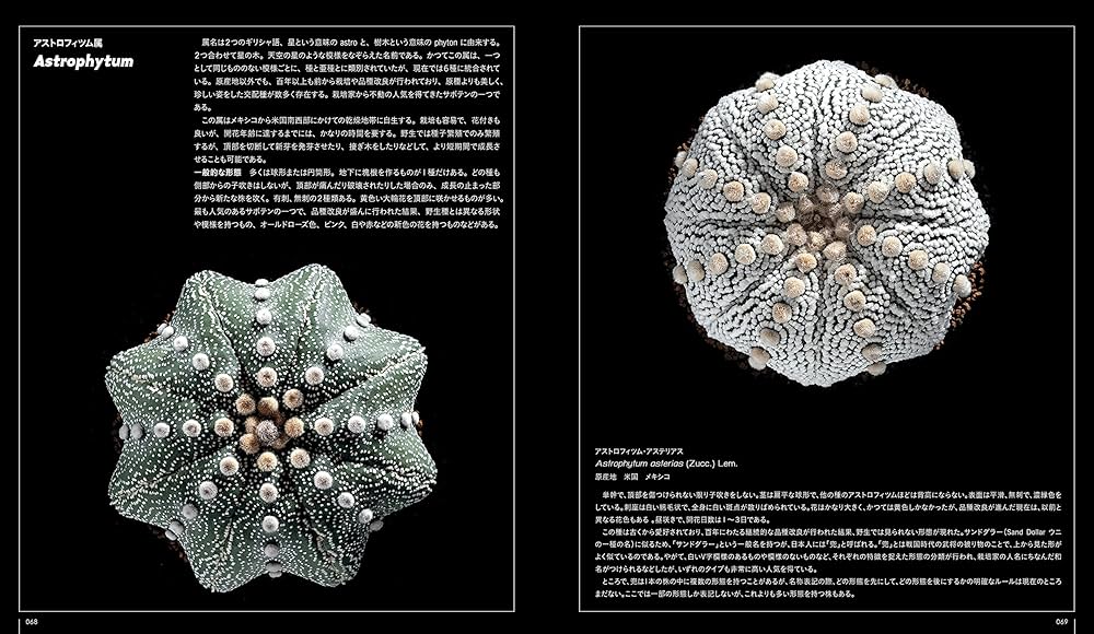 サボテン全書 All about CACTUS | パワポン・スパナンタナーノン, 飯島