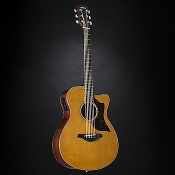 Amazon | ヤマハ YAMAHA エレアコギター AC1M VN | エレアコギター