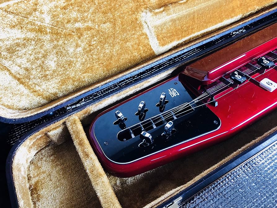 ☆美品☆電気大正琴 Suzuki Ran 鈴木 蘭 バス BASS ケース付き 大正琴 鈴木