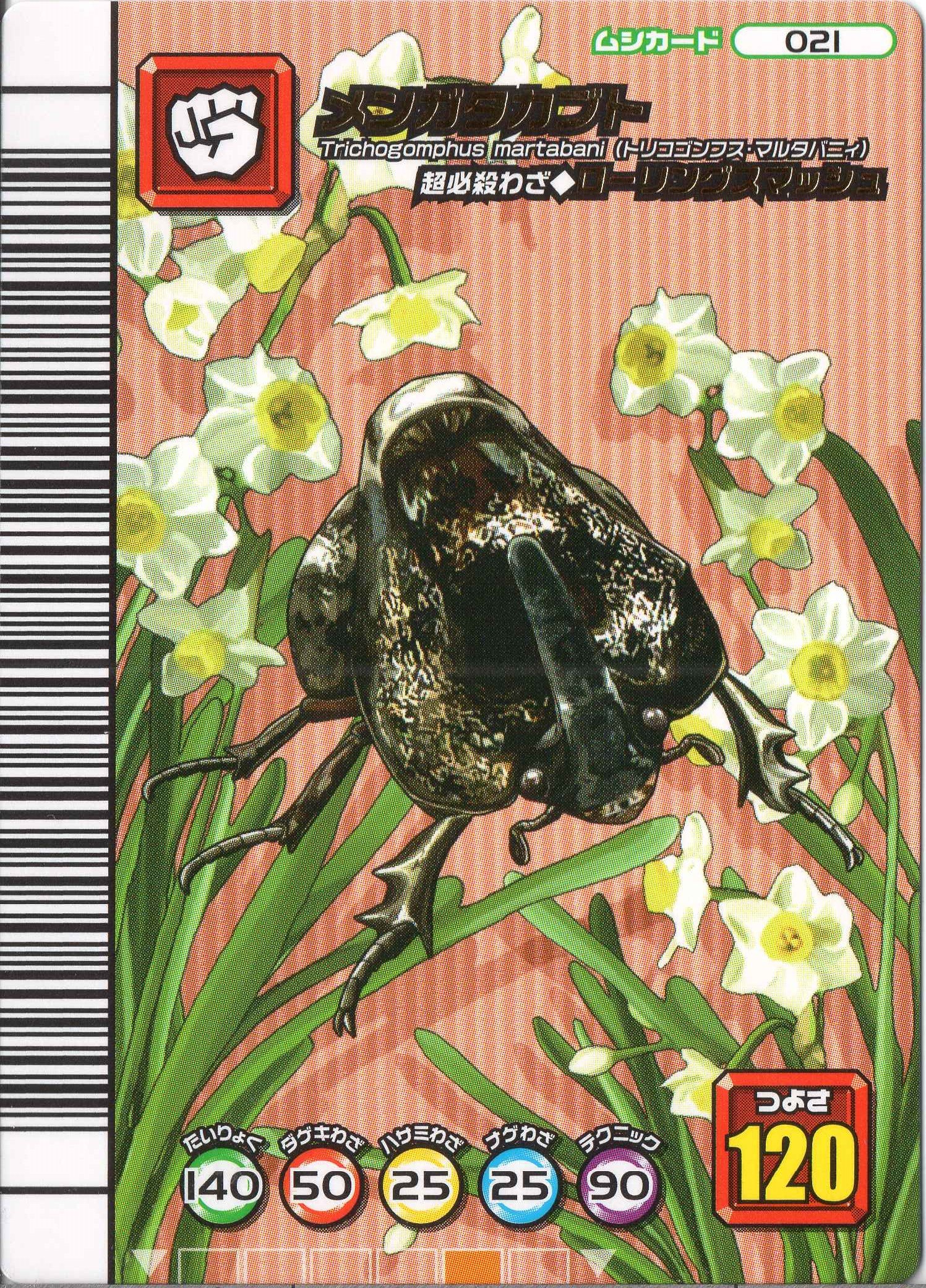 スーパースティング 5周年コレクション ムシキング Amazon.co.jp: 甲虫