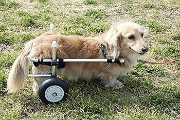Amazon | ペット 小型犬 2輪 歩行器 車いす カート チワワ ダックス